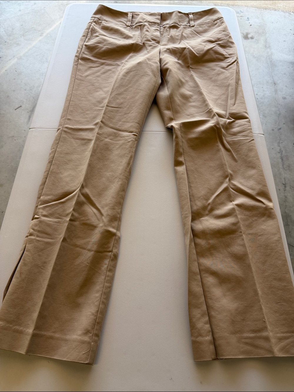 Woman’s Dana Buchman Tan Chinos - Straight Leg, Size 12